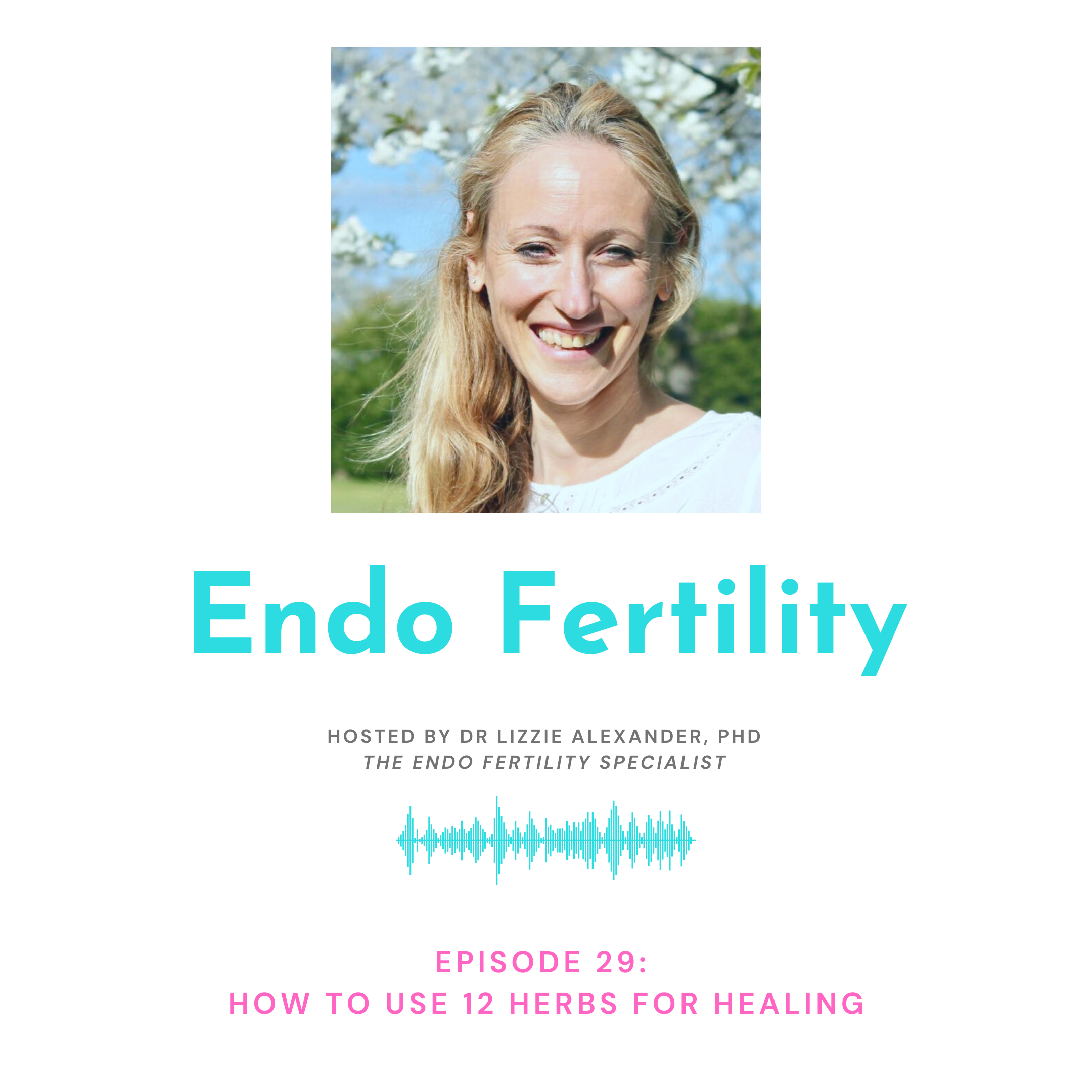 Endo Fertility