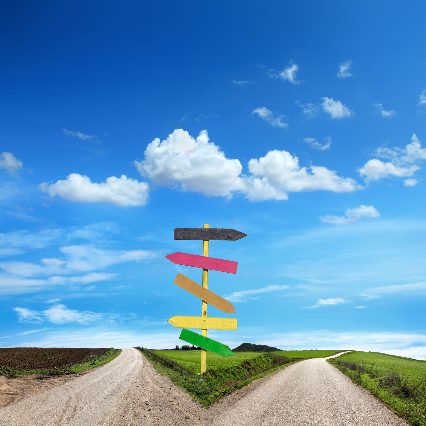 cover of episode How 4 of the world's biggest companies are turning net zero goals into action