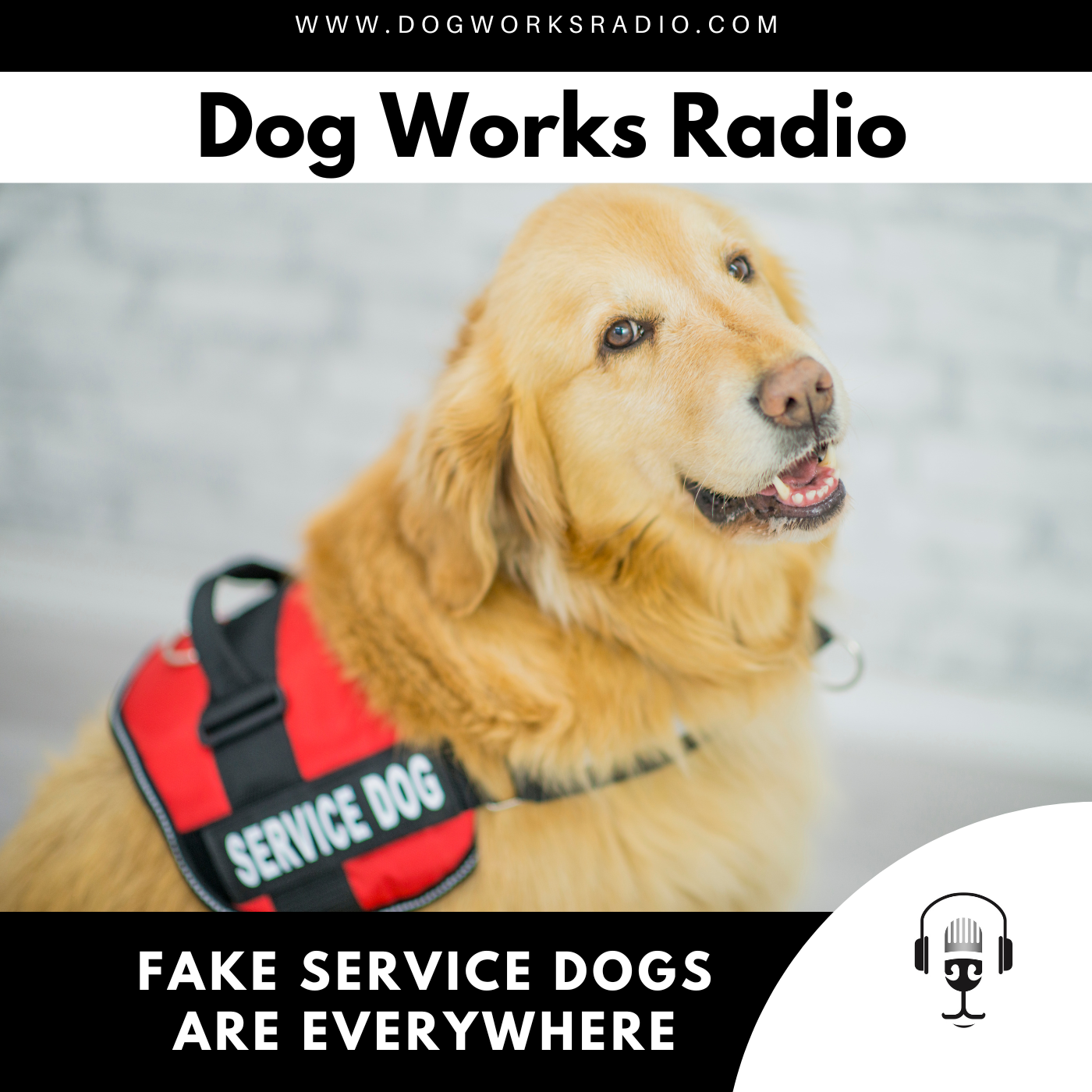 Dog Works Radio