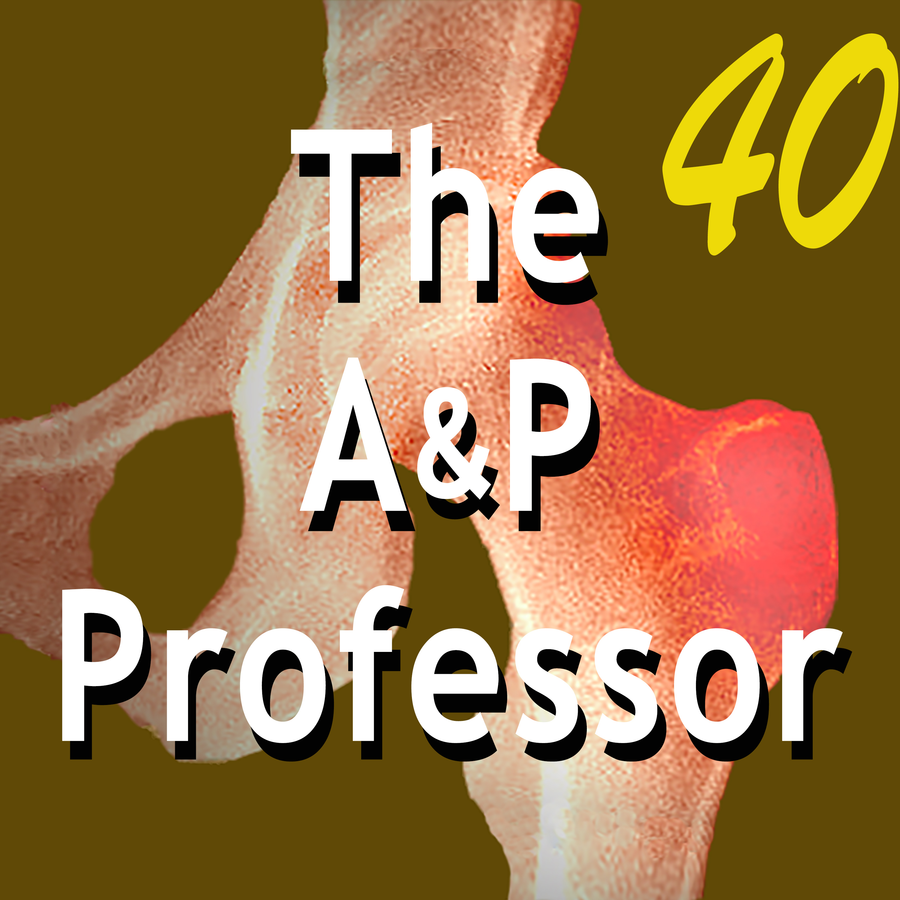 The A&P Professor
