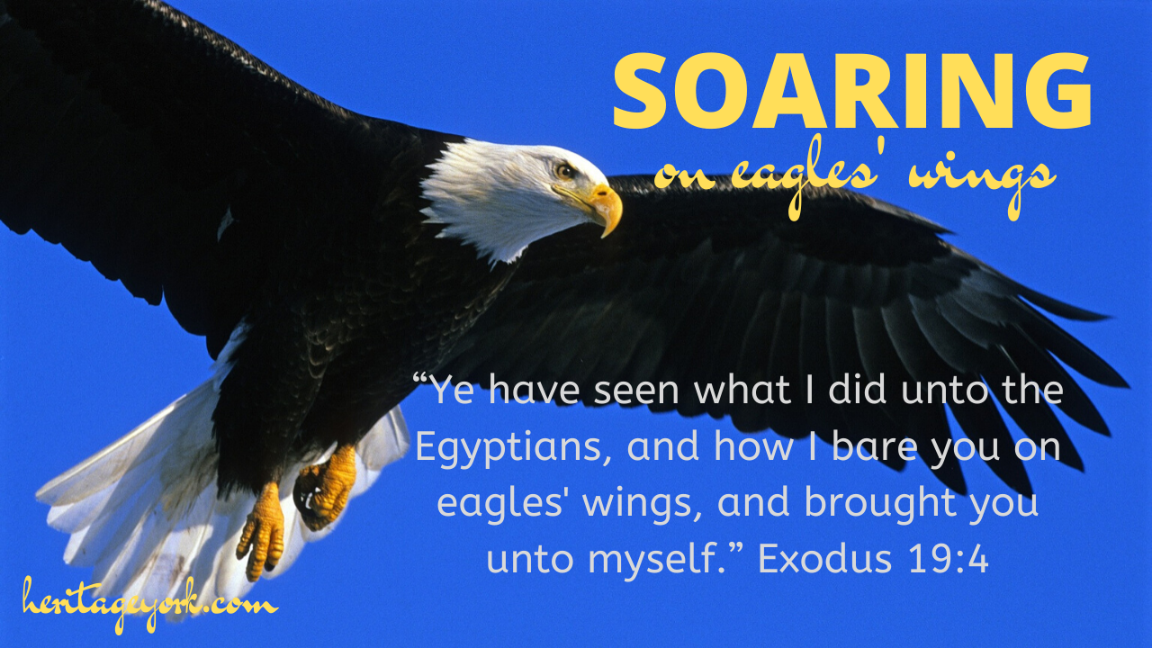 Soaring On Eagles' Wings episode artwork