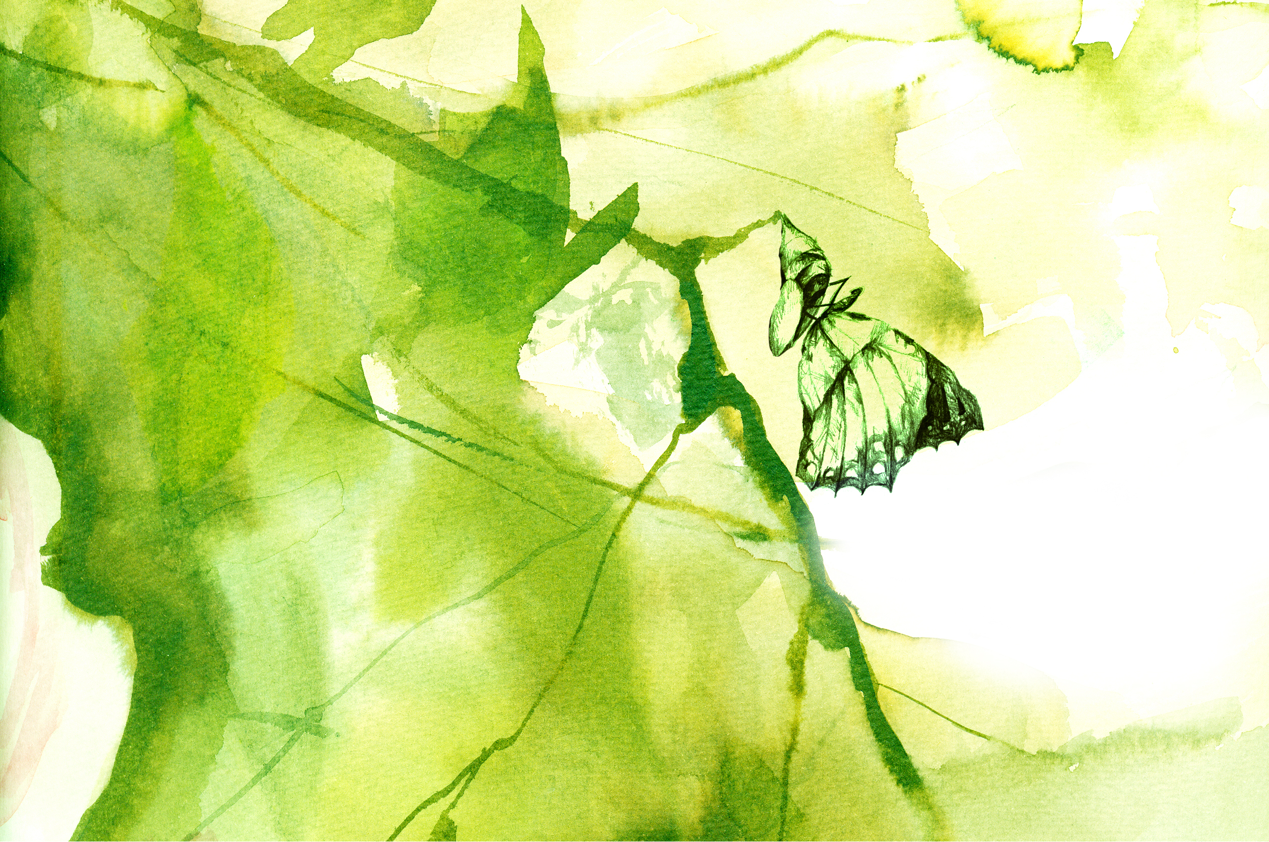 034: Stages of Change/Stages of Faith