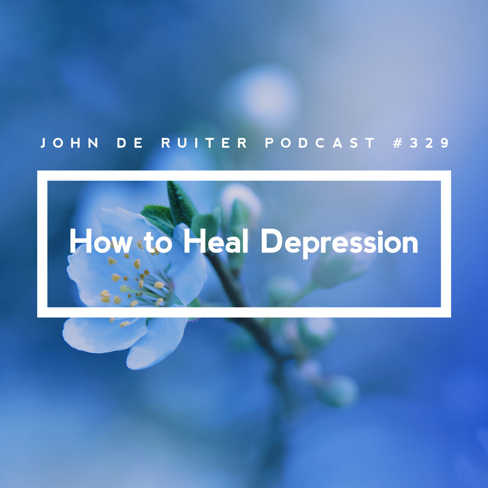JdR Podcast 329 - How to Heal Depression