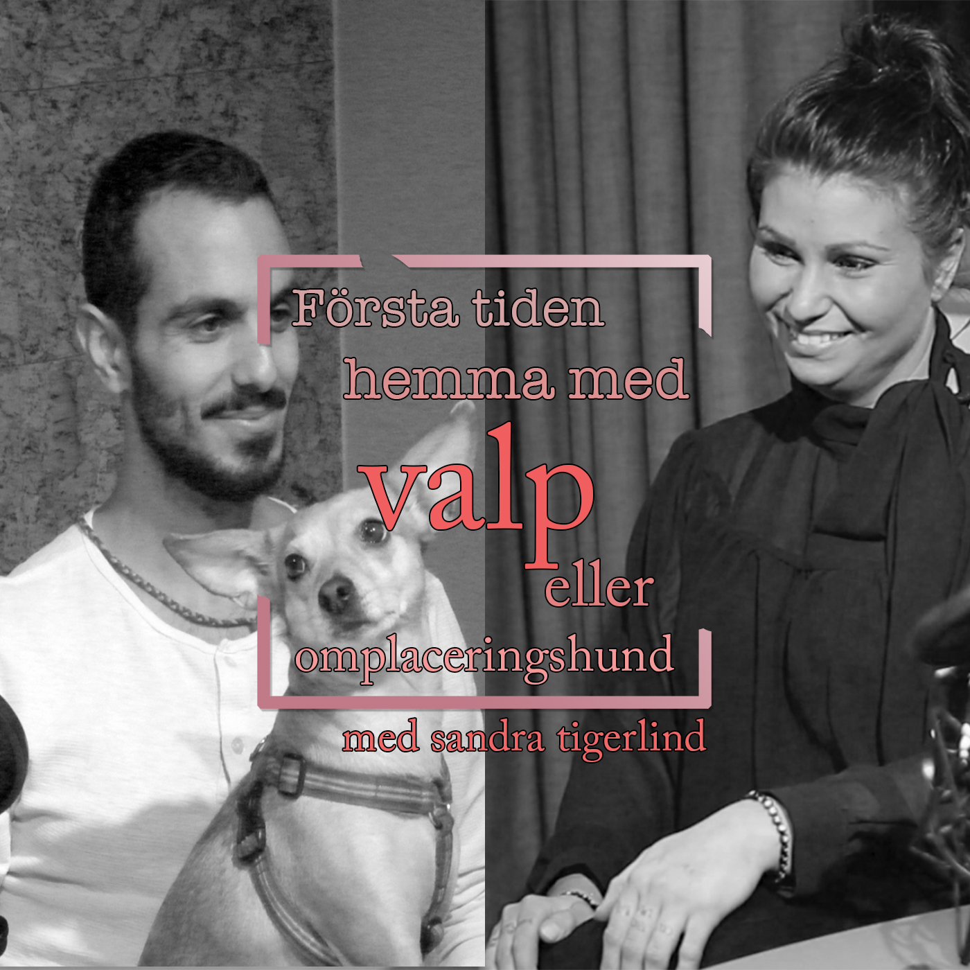 Hundpodden Vår Bästa Vän