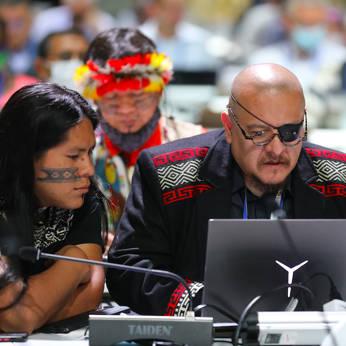 Mongabay Newscast