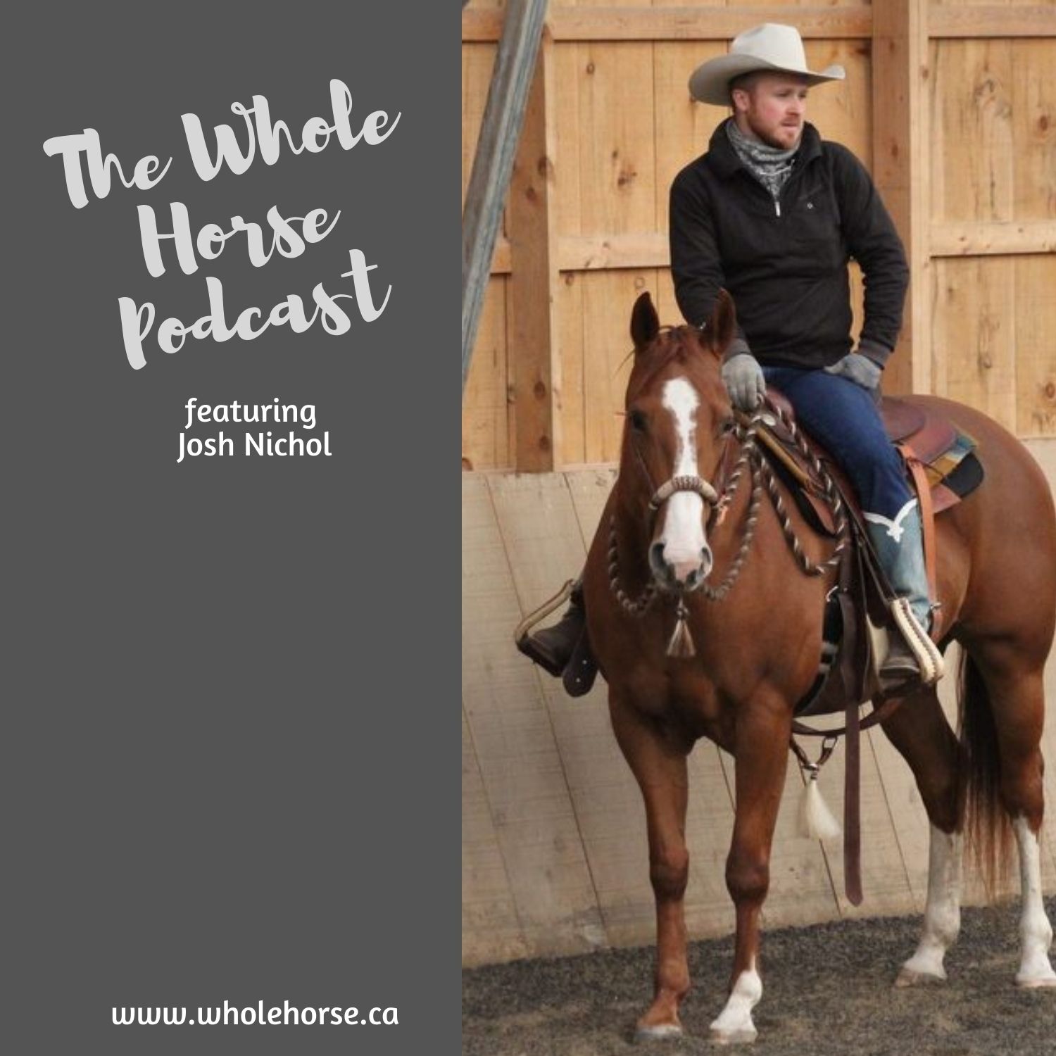 The Whole Horse Podcast with Alexa Linton