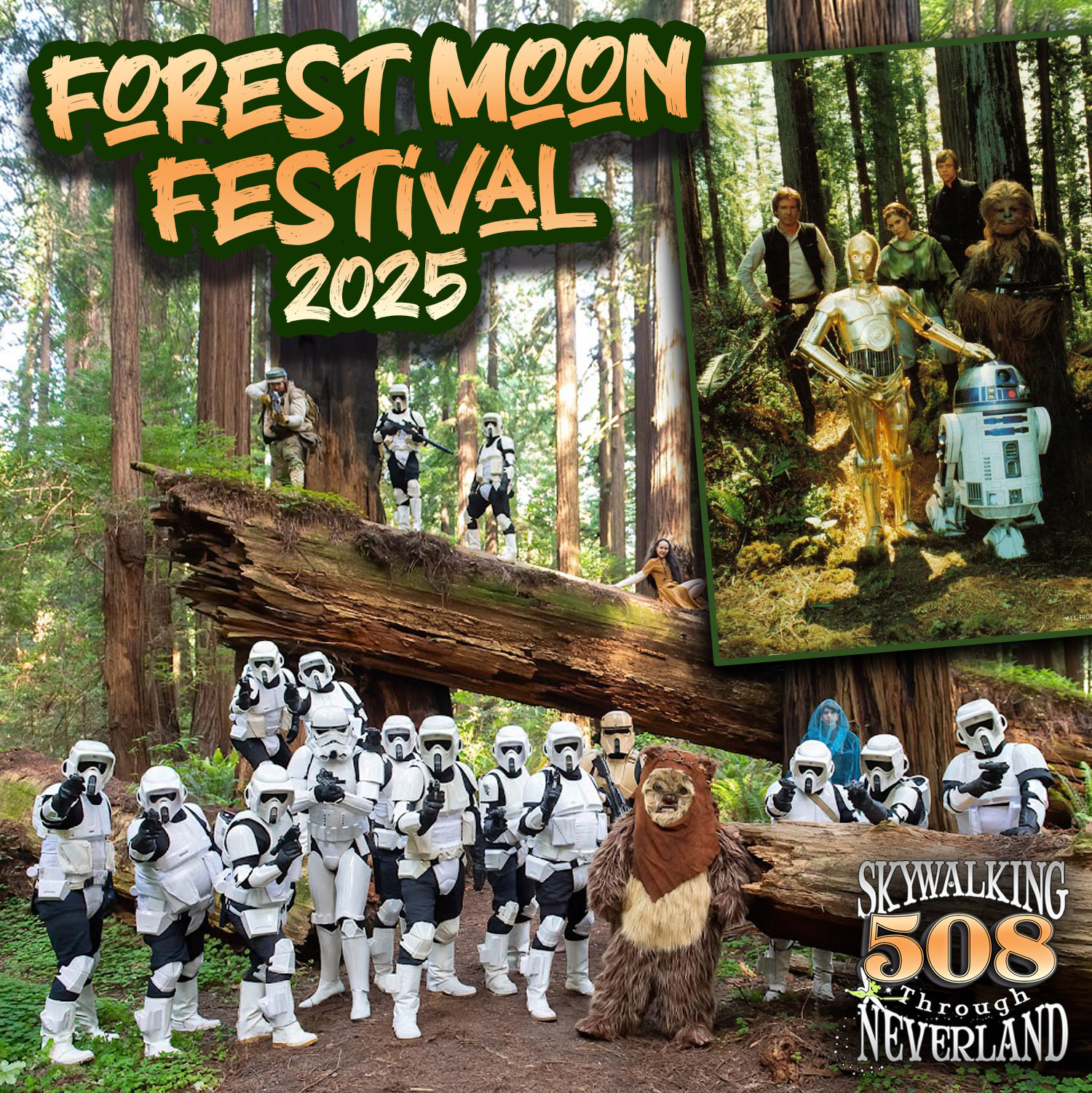 cover of episode 508: Forest Moon Festival 2025