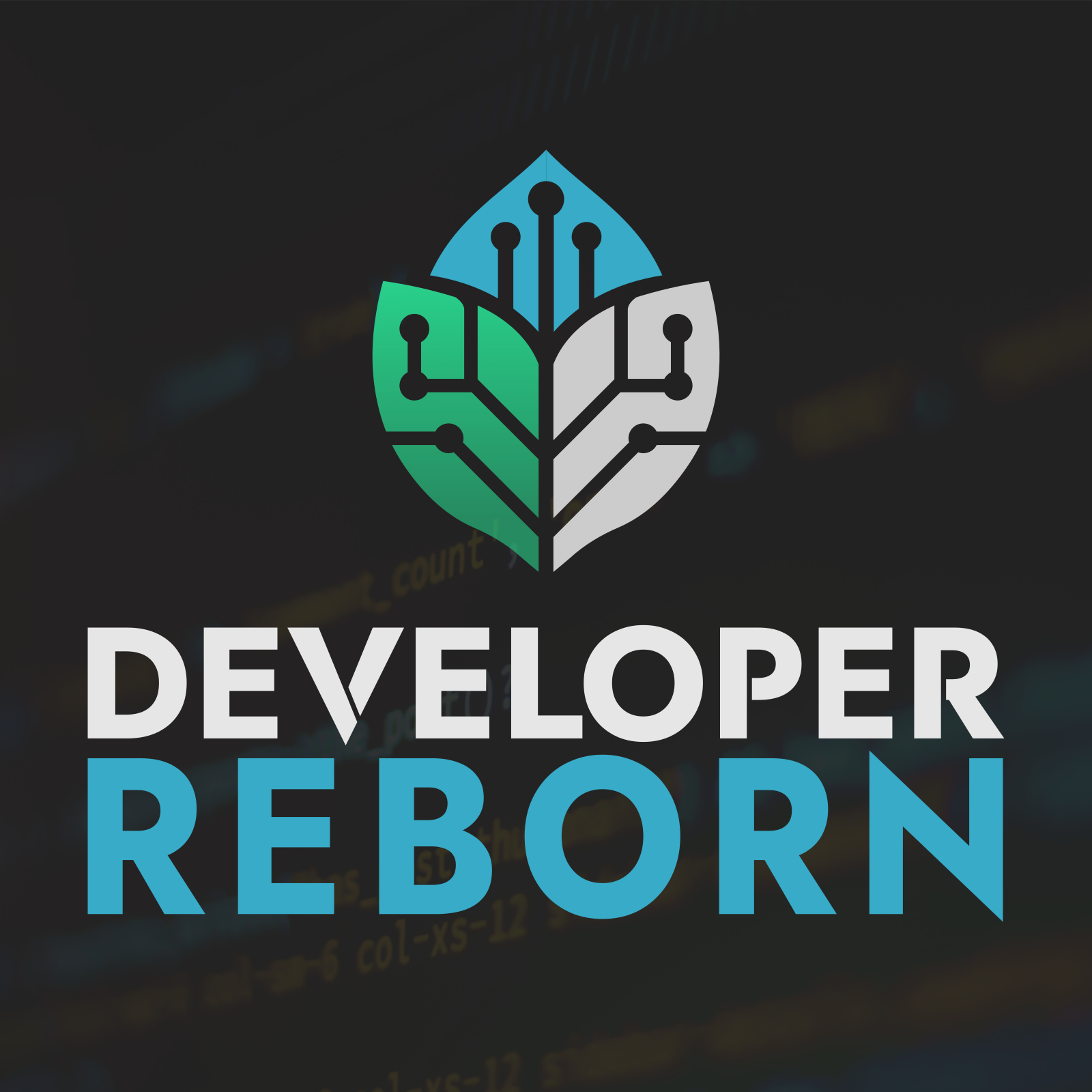 Developer Reborn