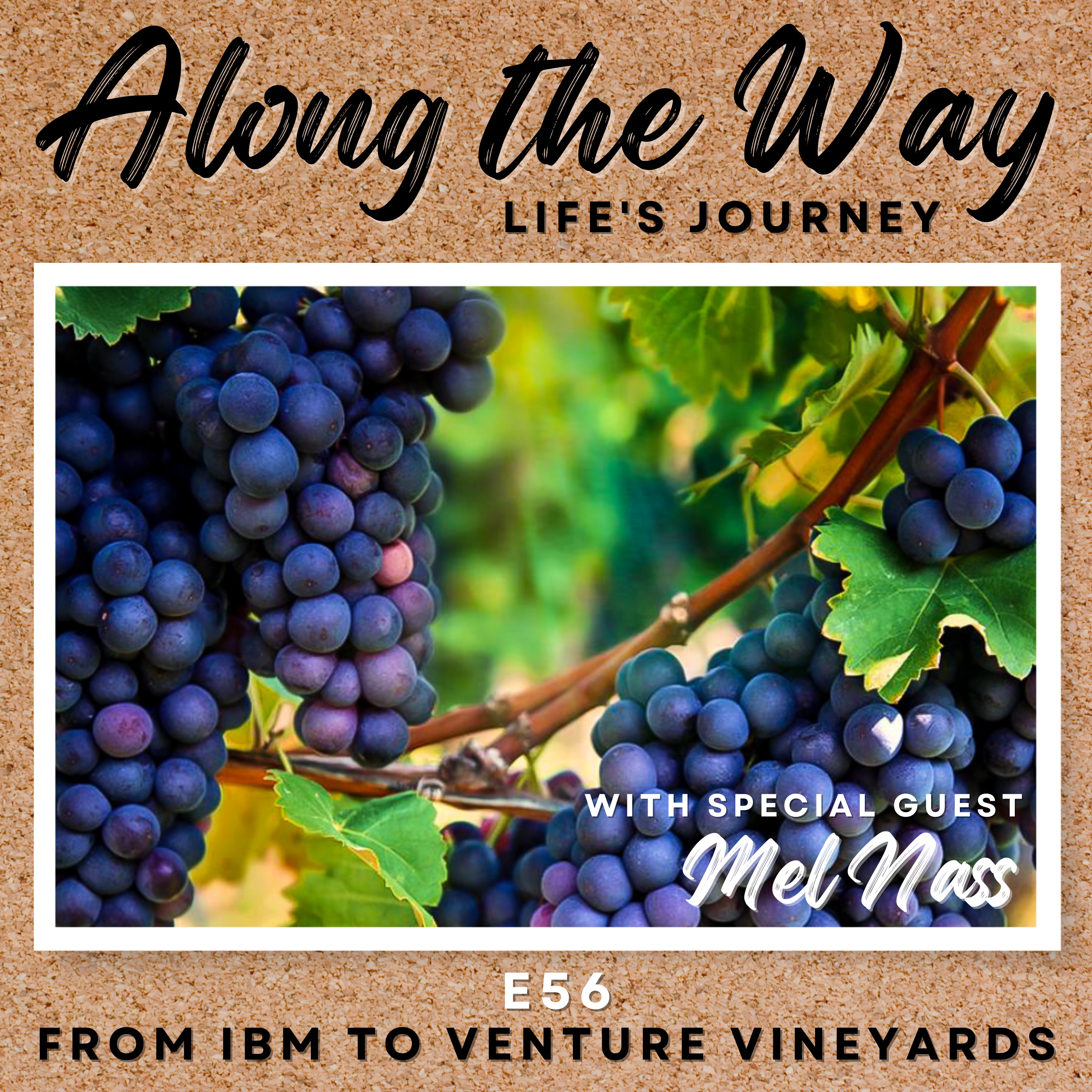 Along the Way Life\'s Journey