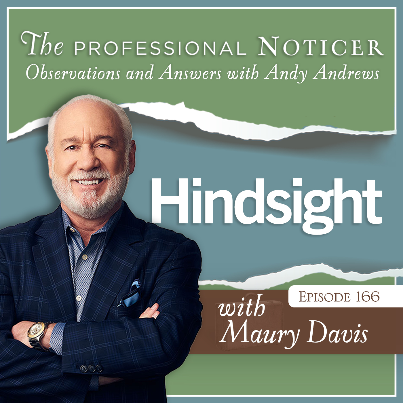 The Professional Noticer