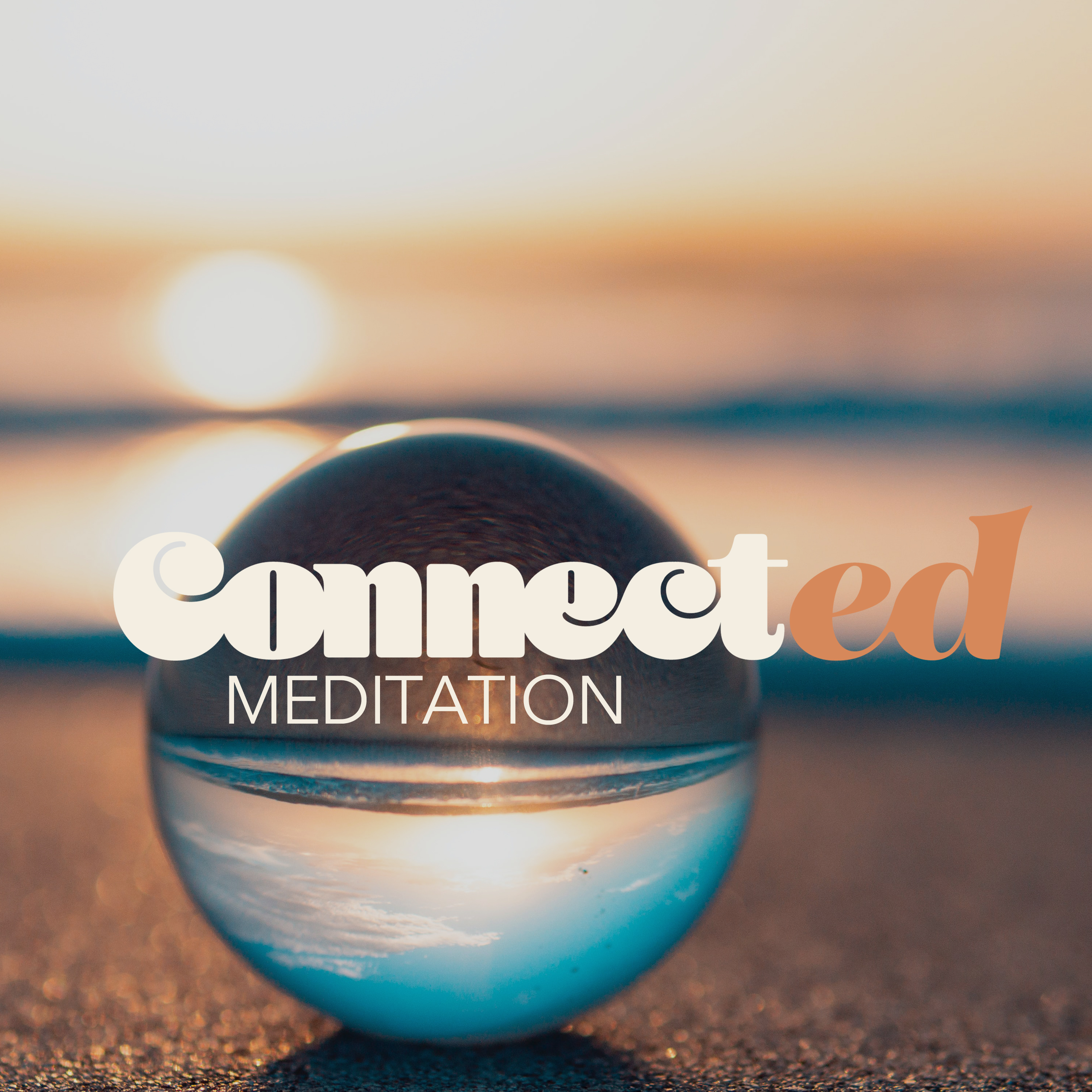 Connected with Kimberly Dam