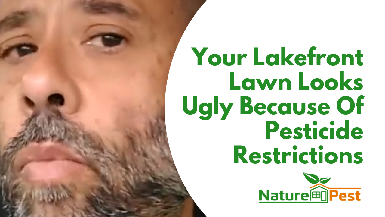 DIYPCP#99 You Can't Have A Beautiful St Augustine Lawn Because Of State And Federal Restrictions on Pesticides
