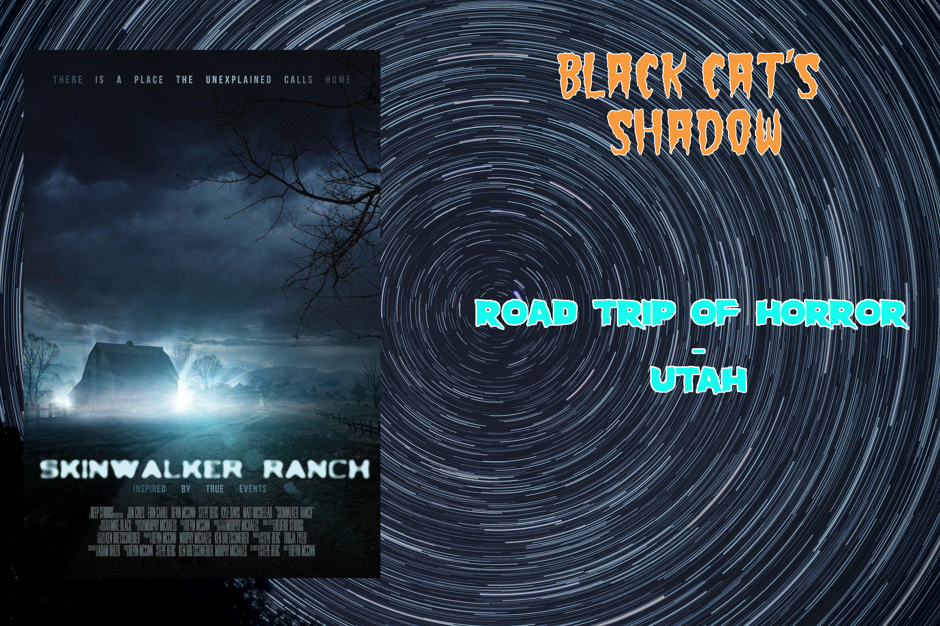 Black Cat\'s Shadow