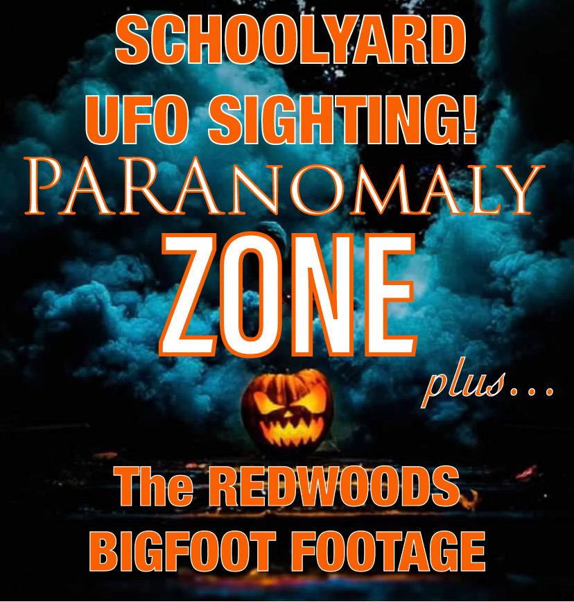 SCHOOLYARD UFO SIGHTING! Plus, 