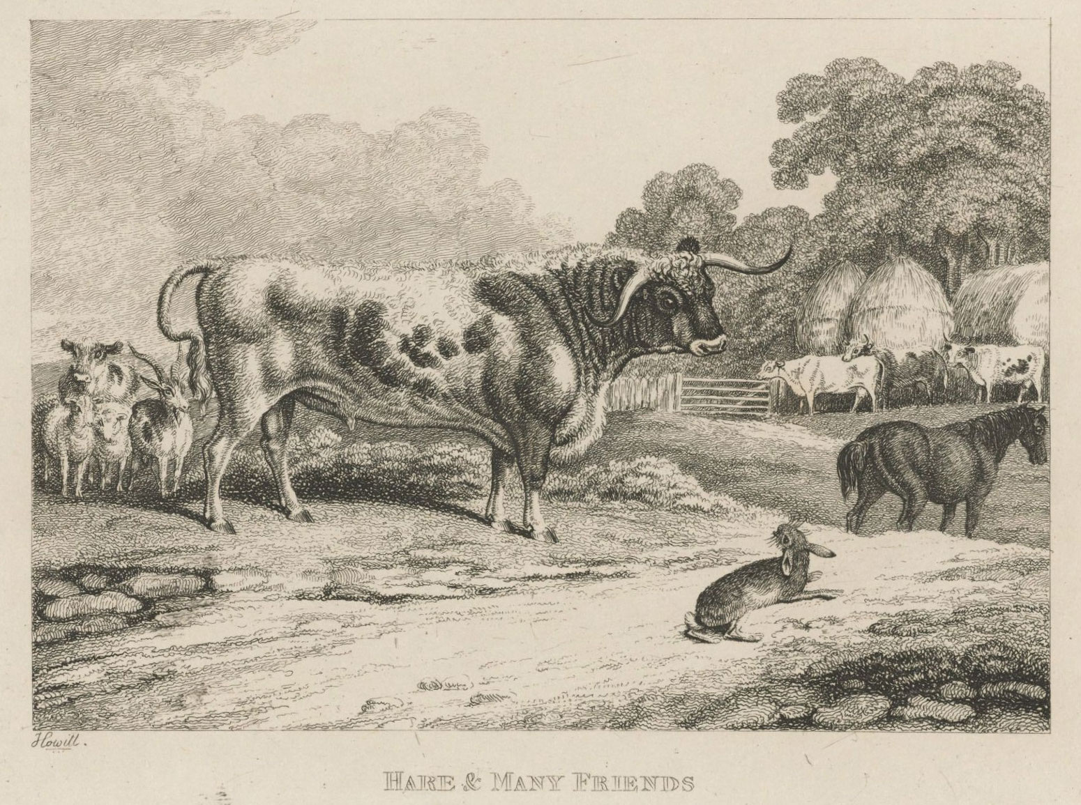 The Hare With Many Friends - A Greek Folktale