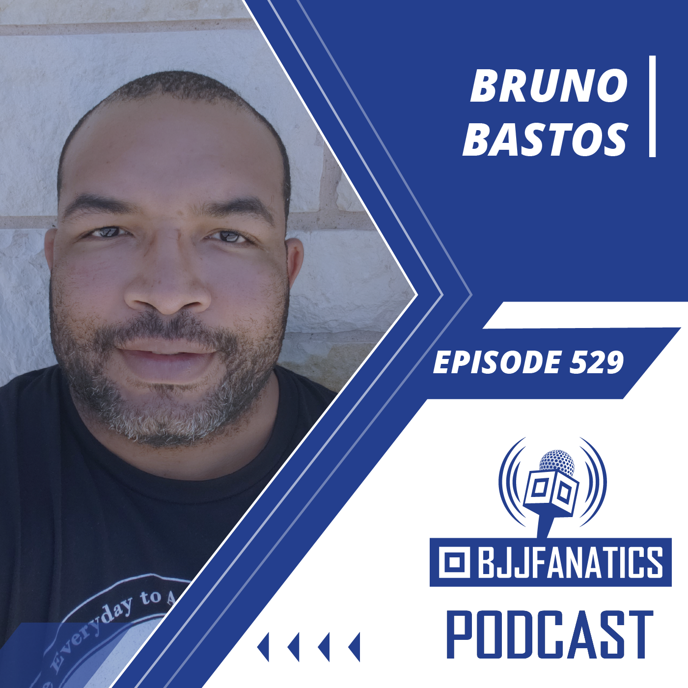 The BJJ Fanatics Podcast