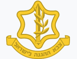 The Media Network Vintage Vault 2024-2025