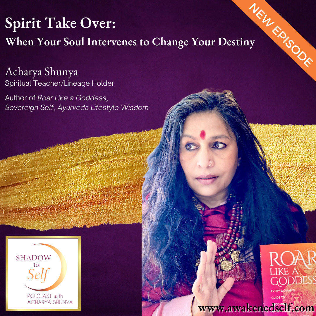 Shadow to Self with Acharya Shunya