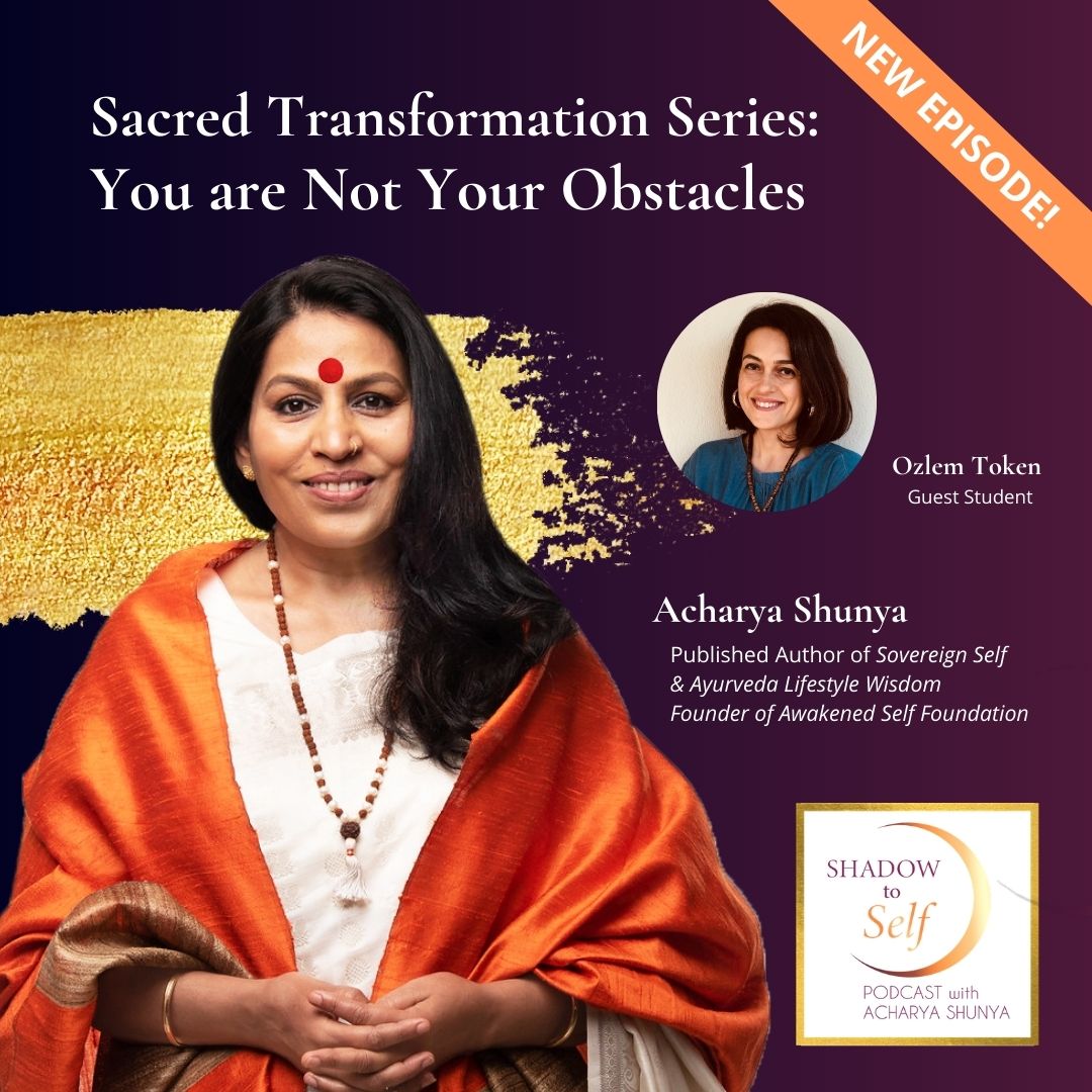 Shadow to Self with Acharya Shunya