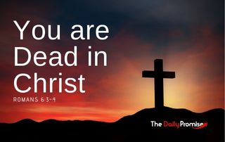 The Daily Promise