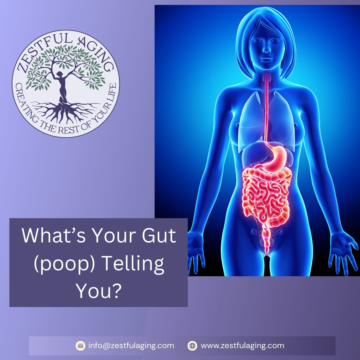 What is Your Gut (poop) Telling You?
