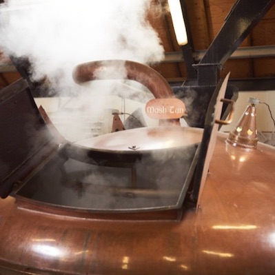 Fermentation: Food That Fizzes