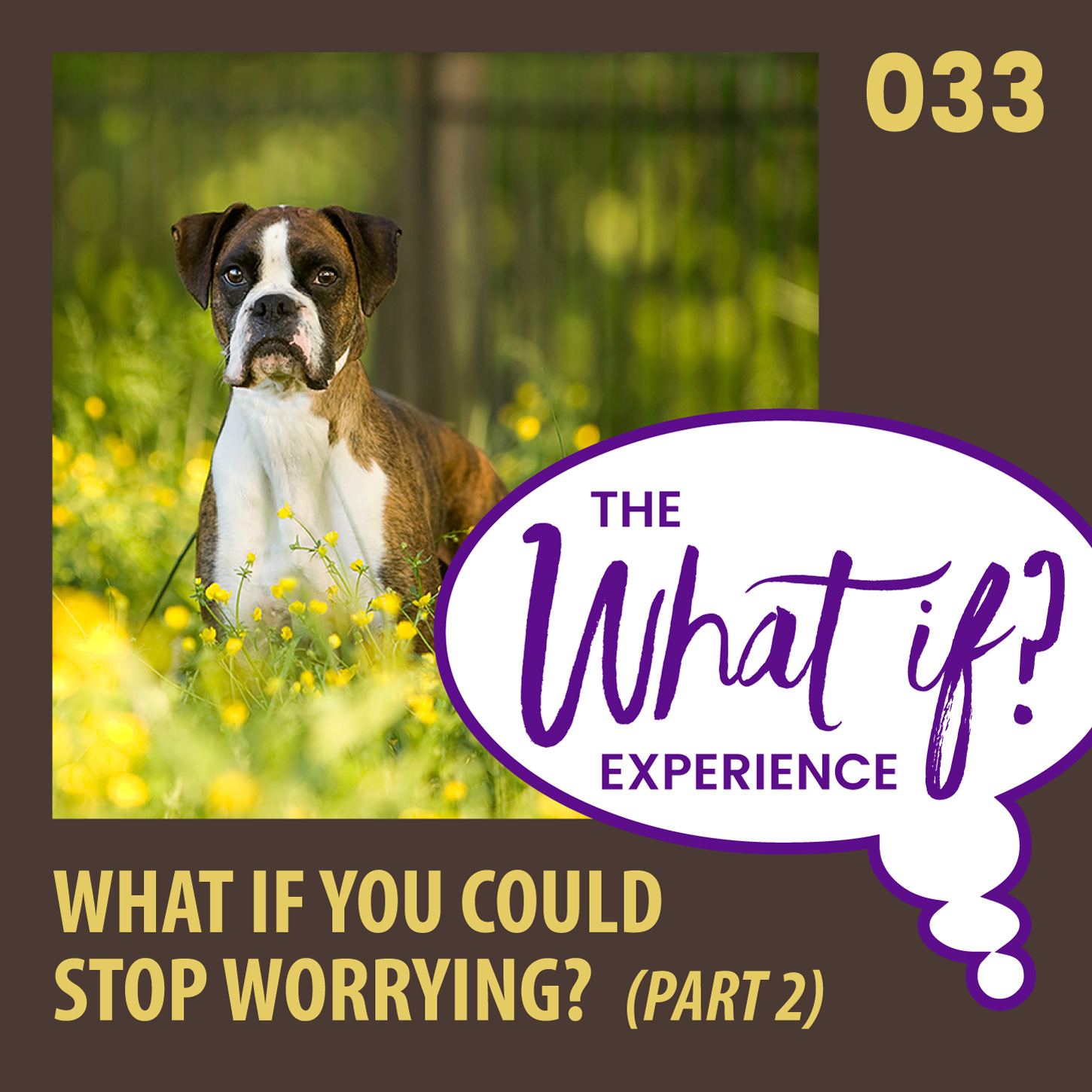 The What If Experience