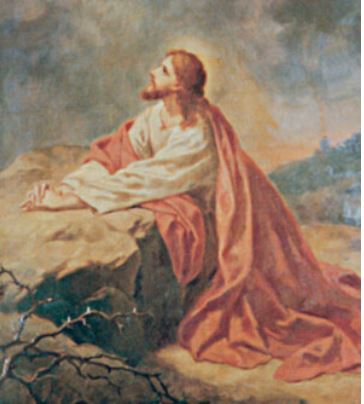 Sorrowful Mysteries of the Rosary with Fr. Jacek Mazur