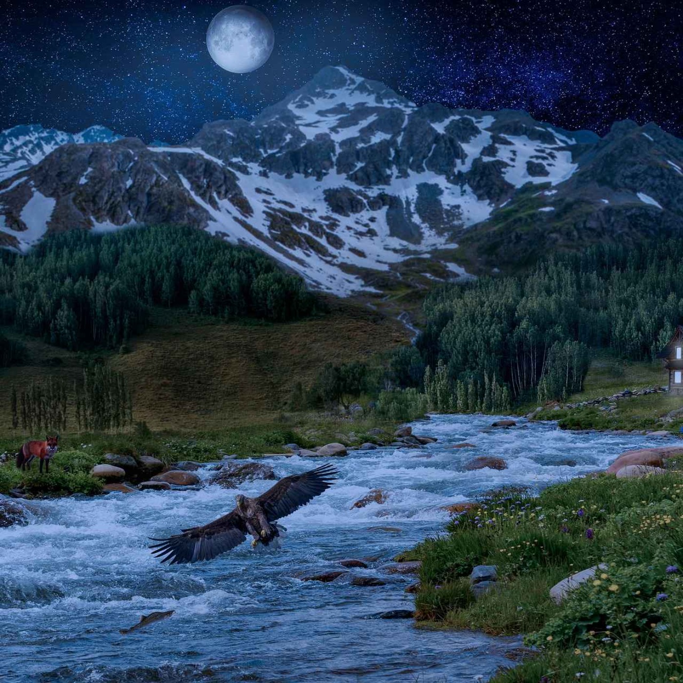 Relaxing Sleep Music & Cure Insomnia - Stress Relief, Relaxing Music, Deep Sleeping Music