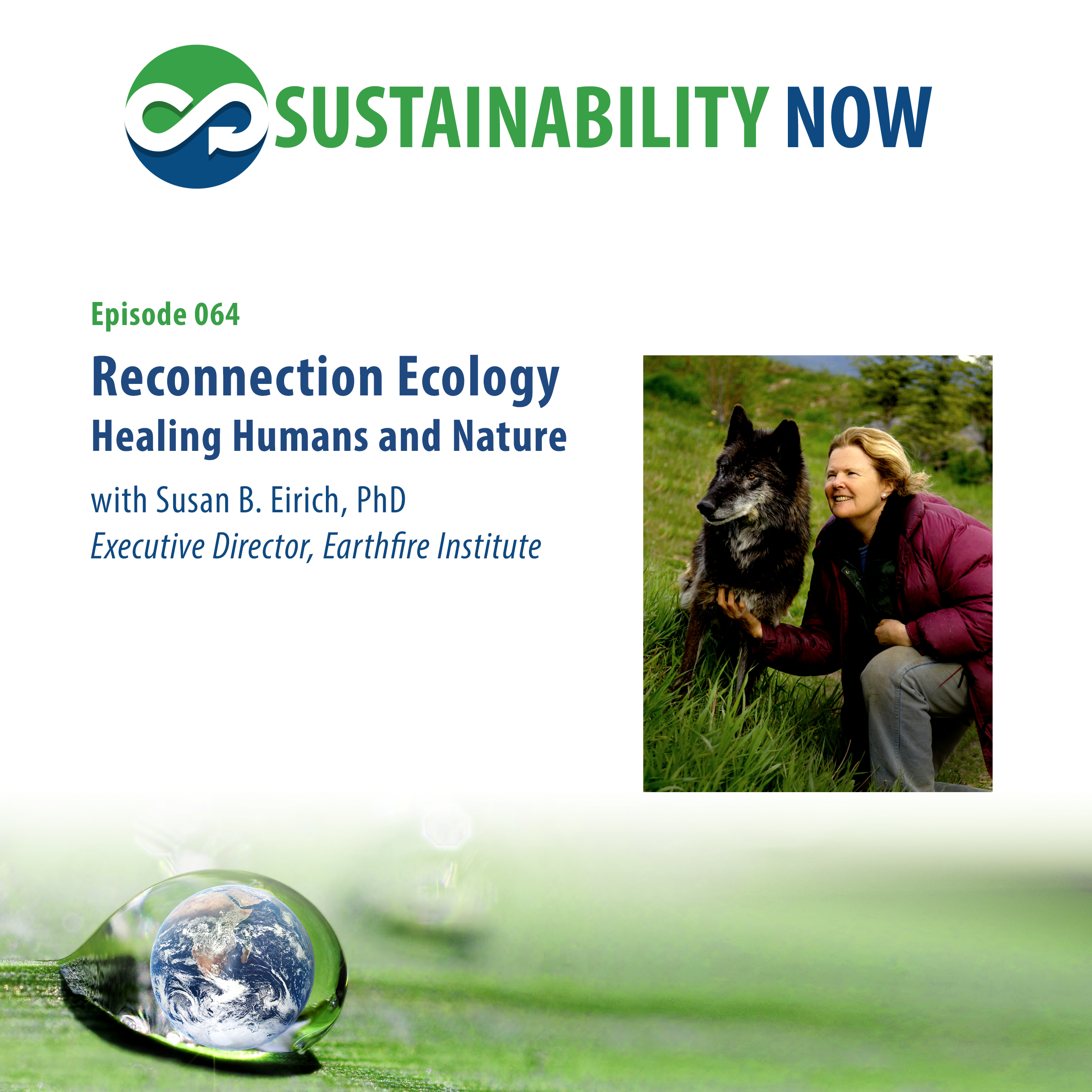 Sustainability Now - exploring technologies and paradigms to shape a world that works