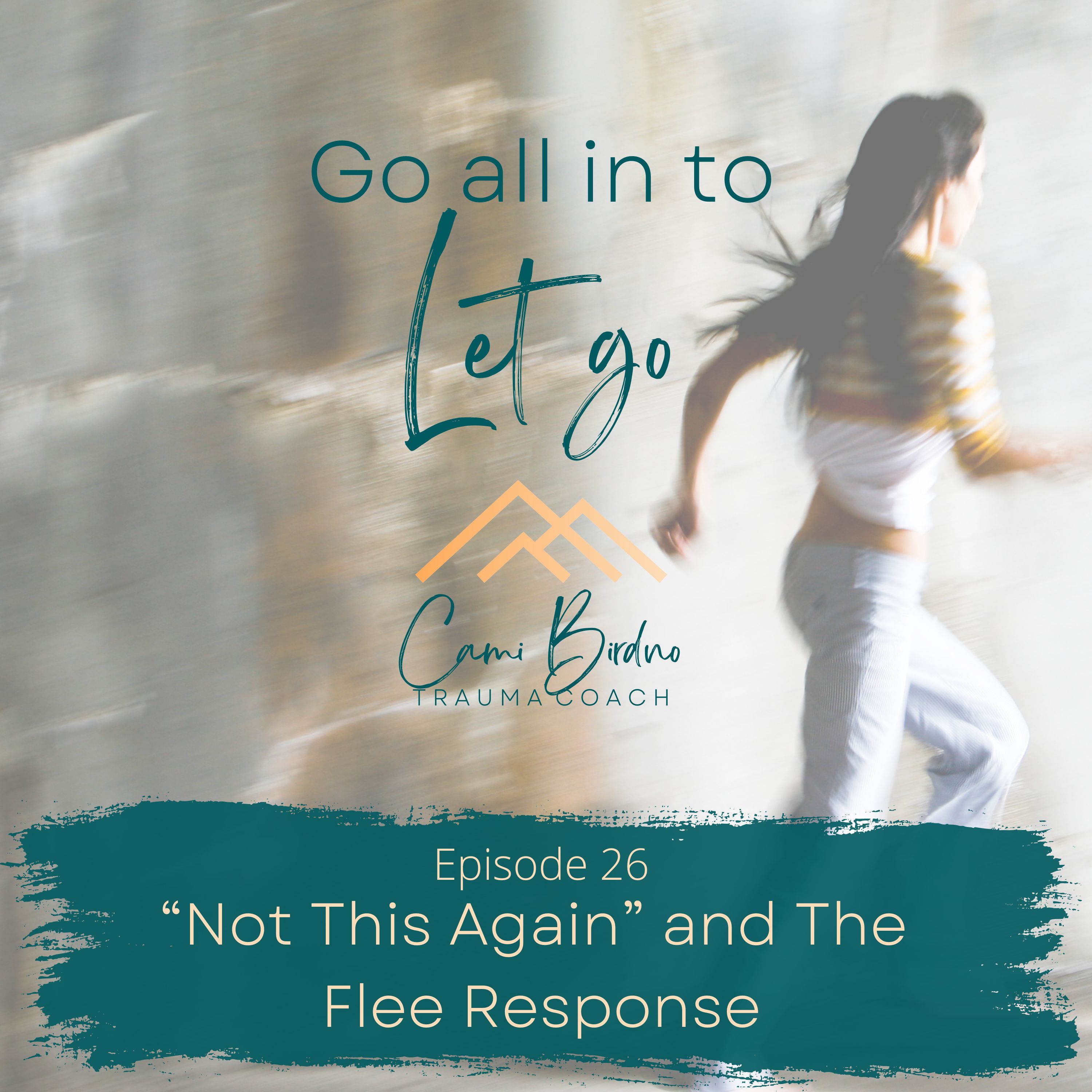 Go all in to Let go - Trauma Healing Insights
