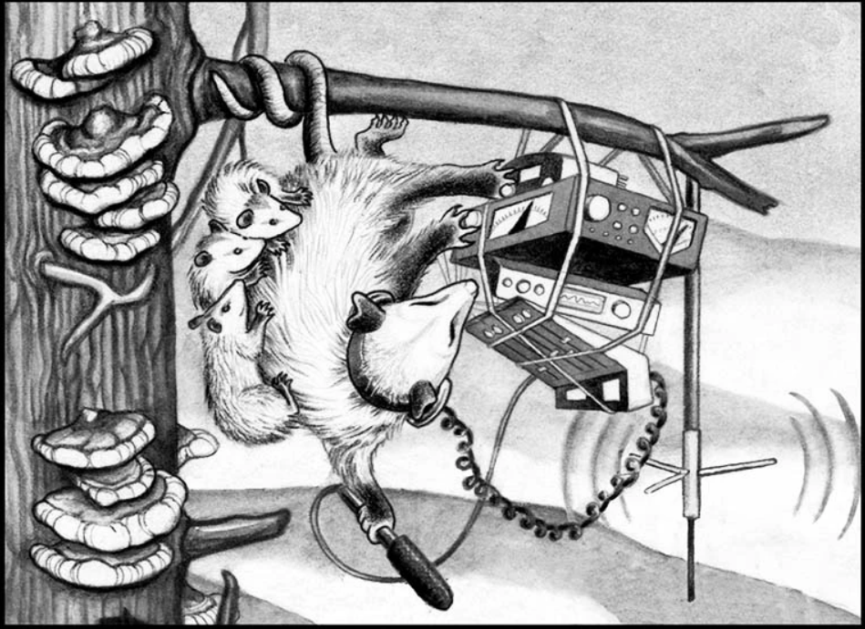 Digital Security Tools for Organizing with CLDC