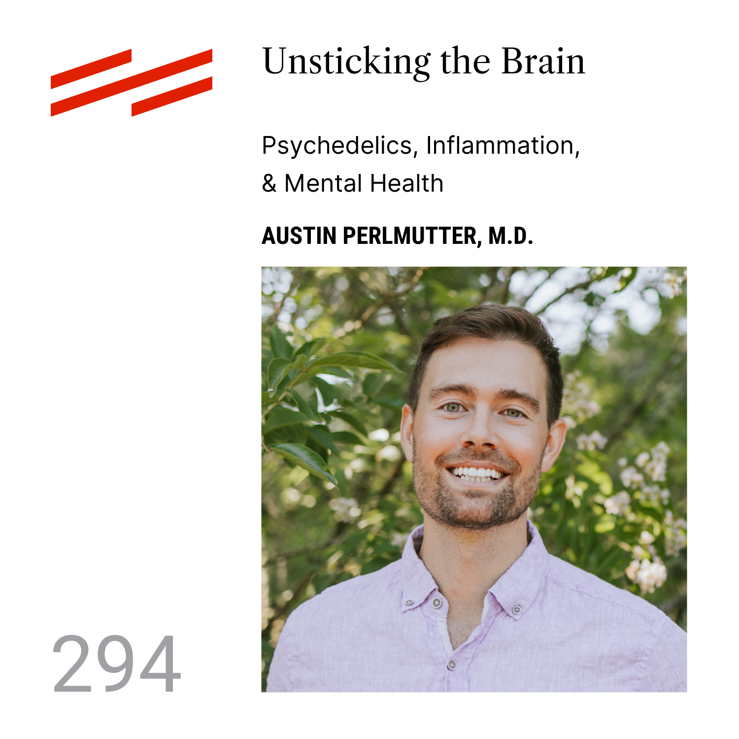 The Psychedelic Podcast