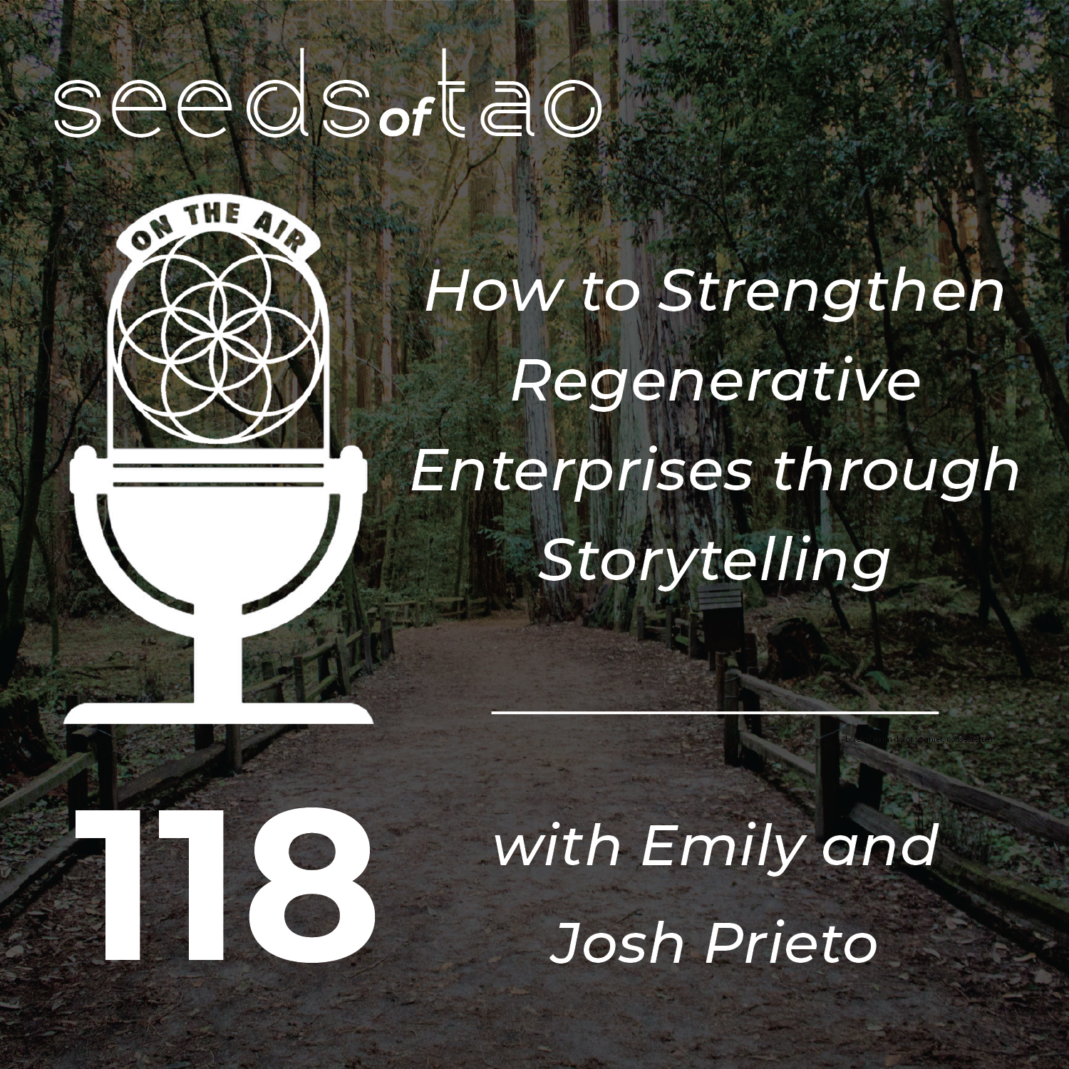 Seeds of Tao: Impact entrepreneurs seeding regenerative paths beyond sustainability