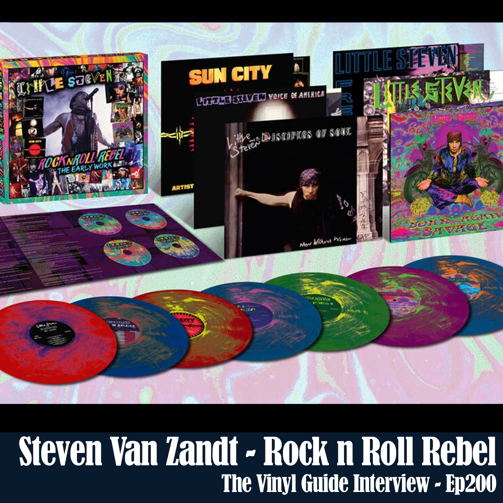 The Vinyl Guide - Podcast for Record Collectors