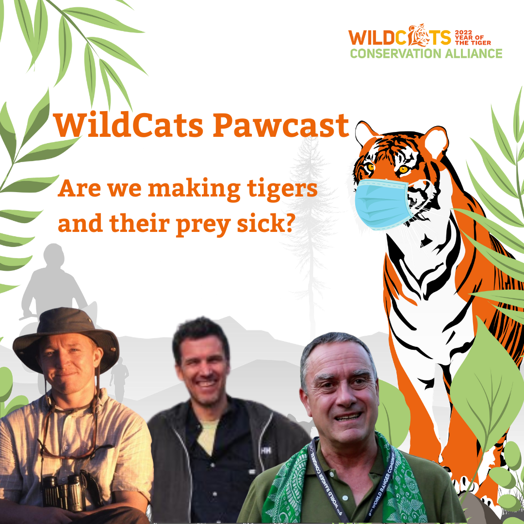 WildCats Pawcast