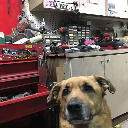05.20.22: Four-Wheelin' Preparedness - Junk for Your Trunk So Your Truck Won't Get Stuck, w/ Racks, Jacks, Tools & Straps, Truck Guns, Garage Dogs, $600 Commuters, + Kyuss, PPIHC, Trinity's Hype & Horkey, Dead Guy, Banquet Beer, & Being Nice to Trees