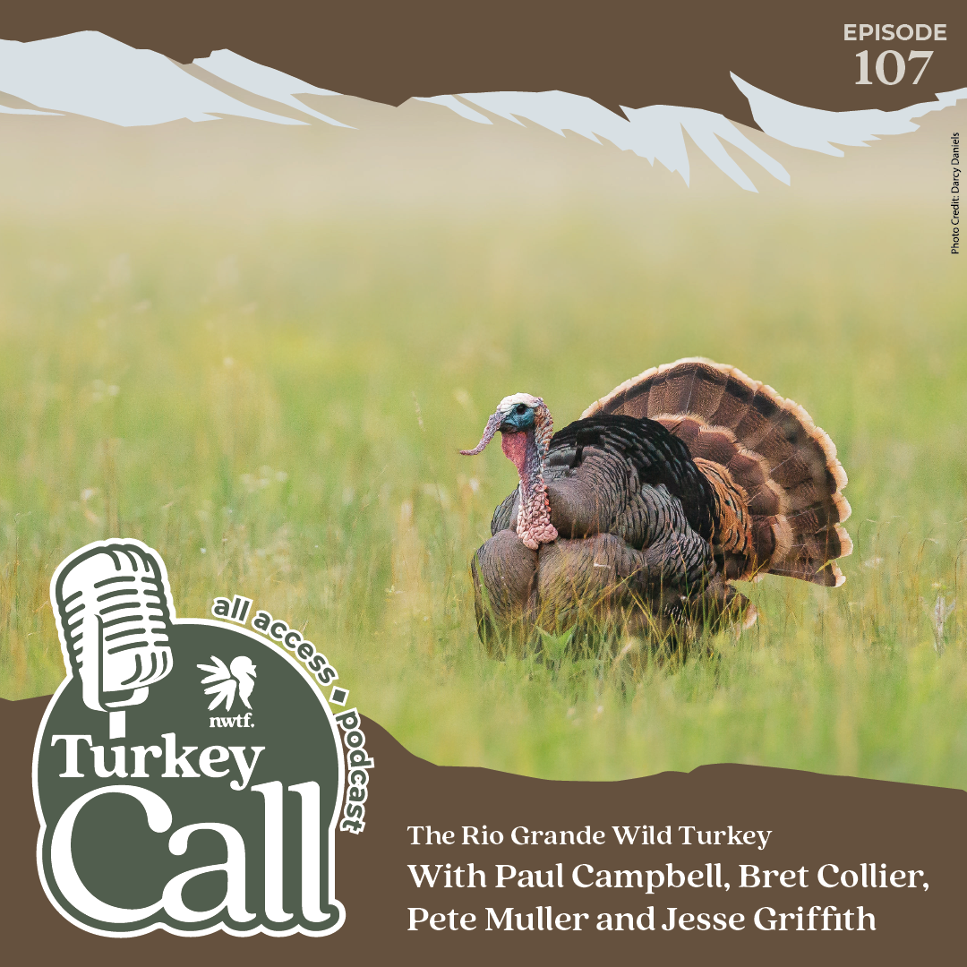 Turkey Call All Access