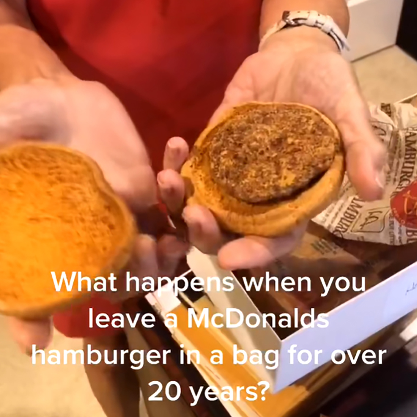 #4586 It's The Donkey For Me!