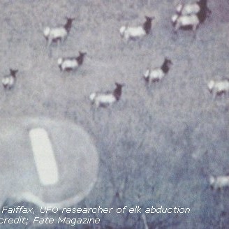 Episode 462 - Fetish or Fanmail (UFO Abductions)