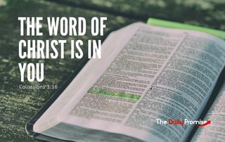 The Daily Promise