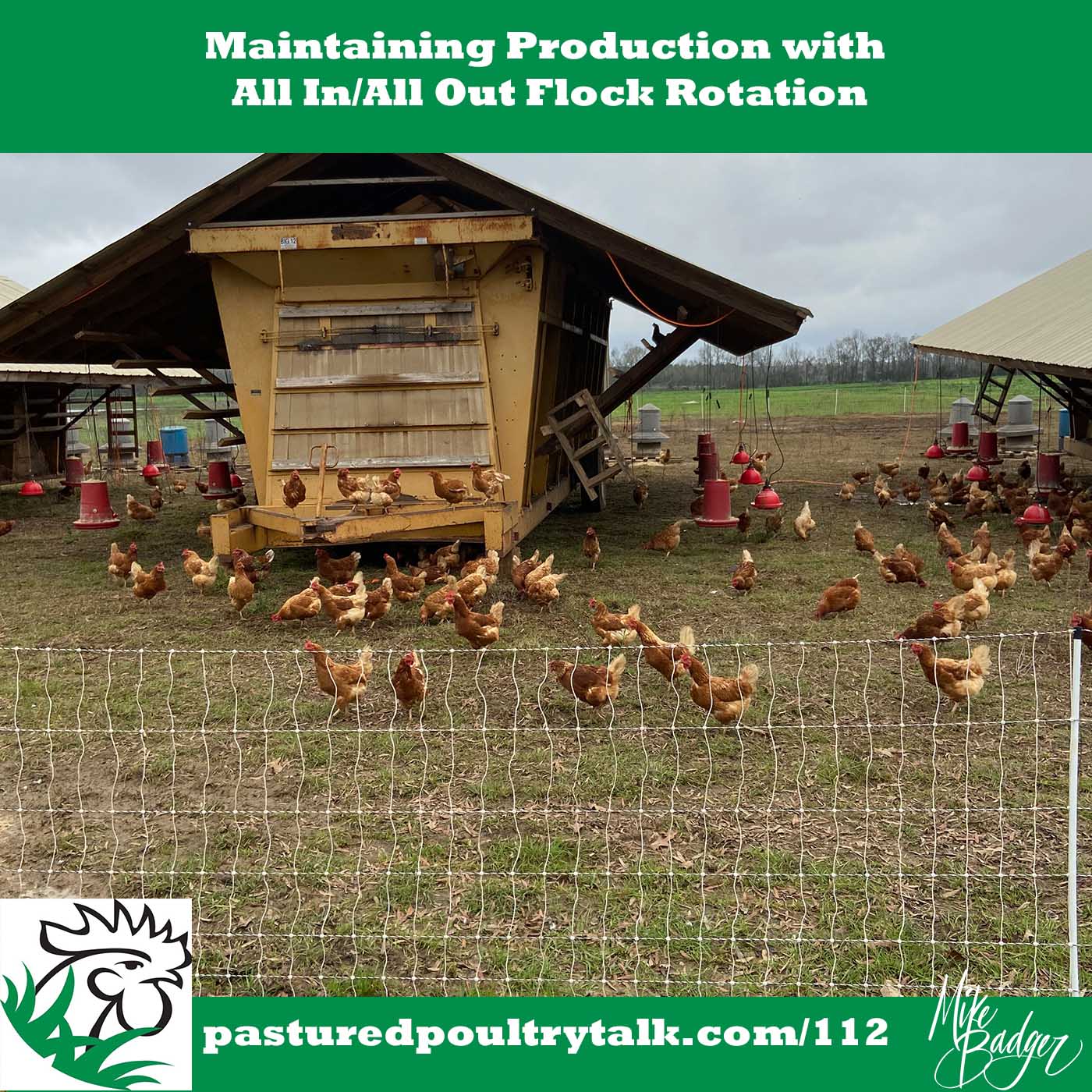 Maintain Production with All In/All Out Rotation for 5,000 laying hens