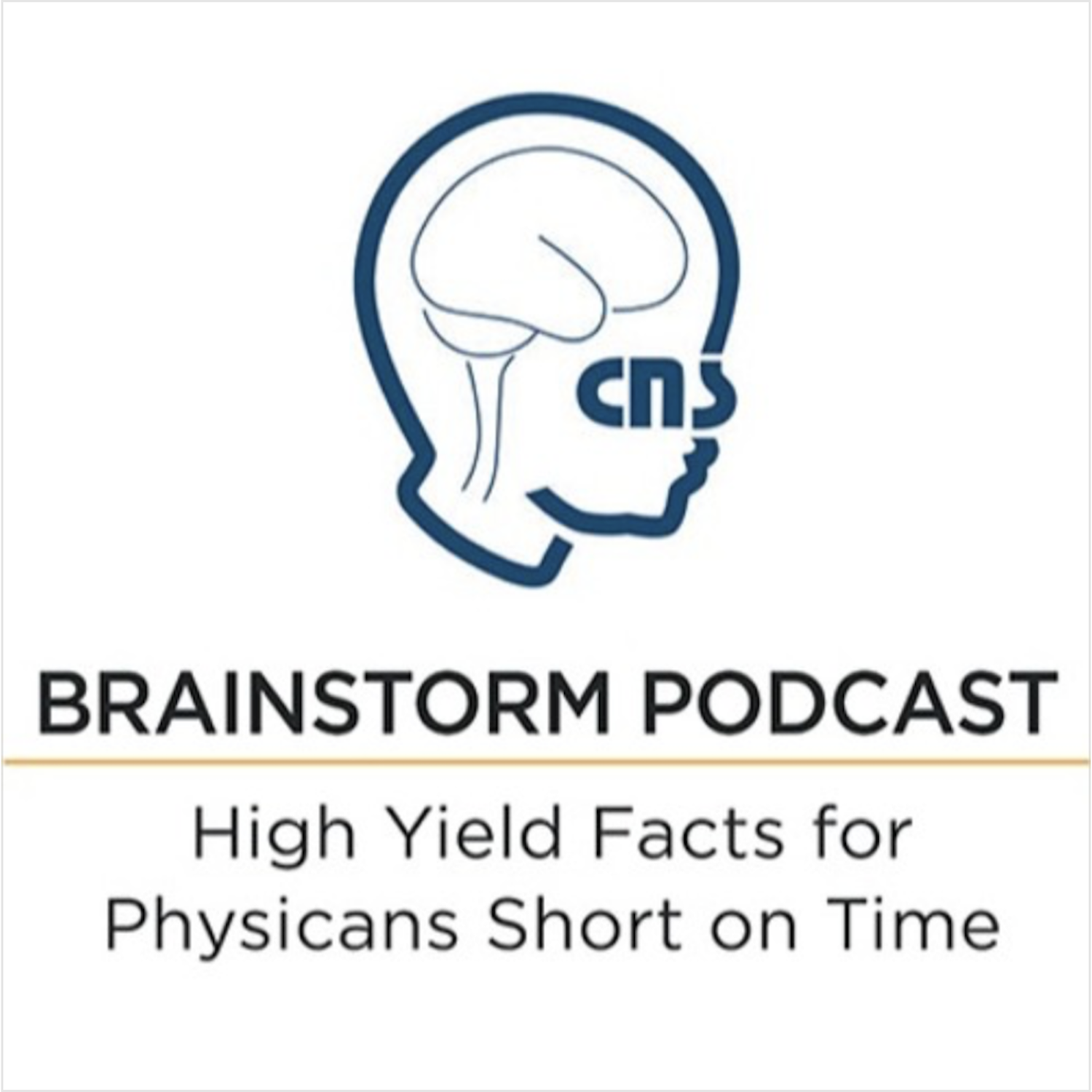 CNS Brainstorm Episode 46 “Teaching to All Learners” with guest Jessica Goldstein, MD