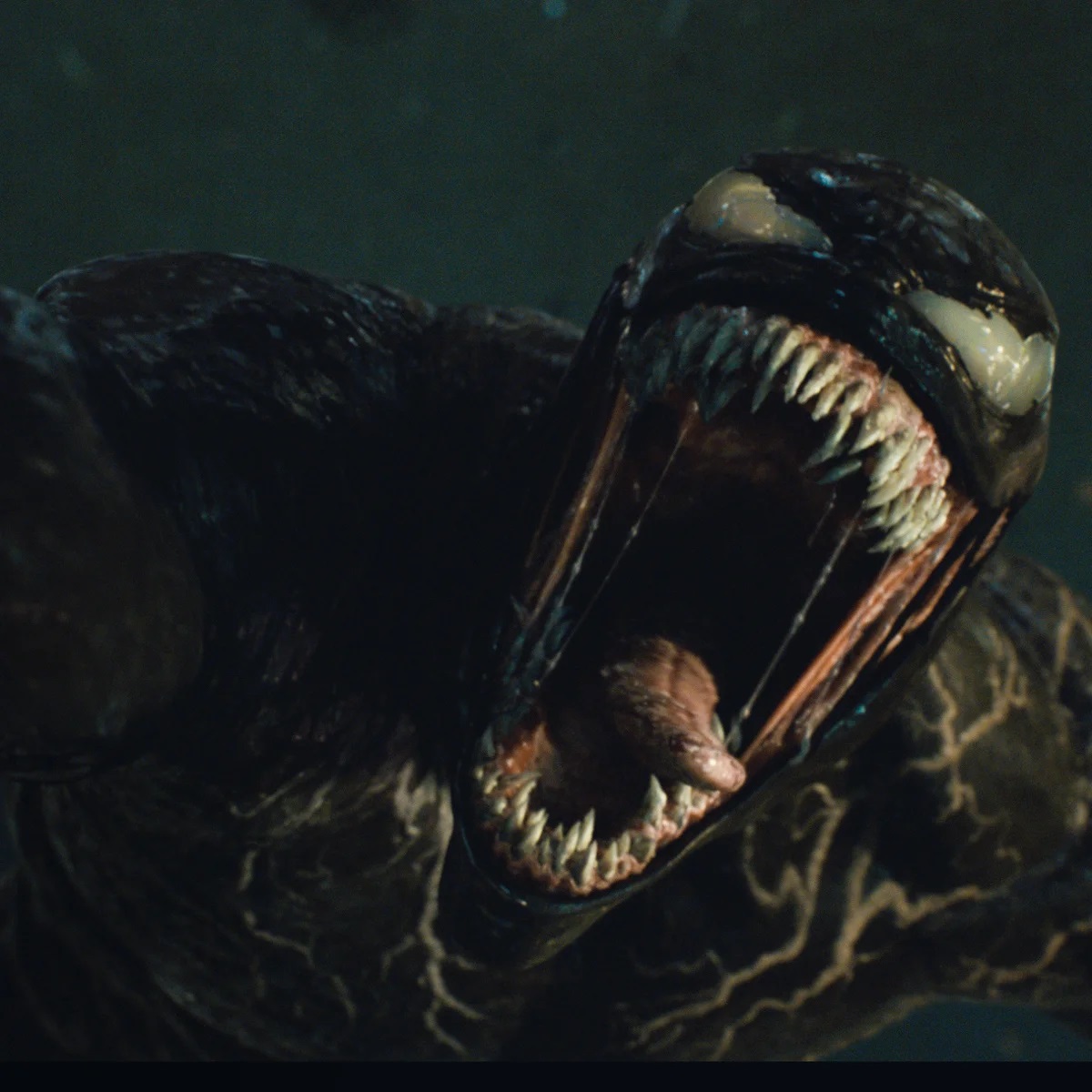 406: Venom: The Last Dance