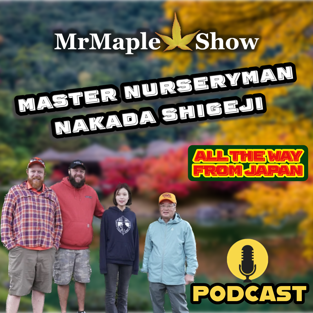 MrMaple Show