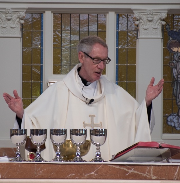 "No Shortage of Divine Love" - Fr. Klima (01/26/2020) "No Shortage of Divine Love" - Fr. Klima (01/26/2020)