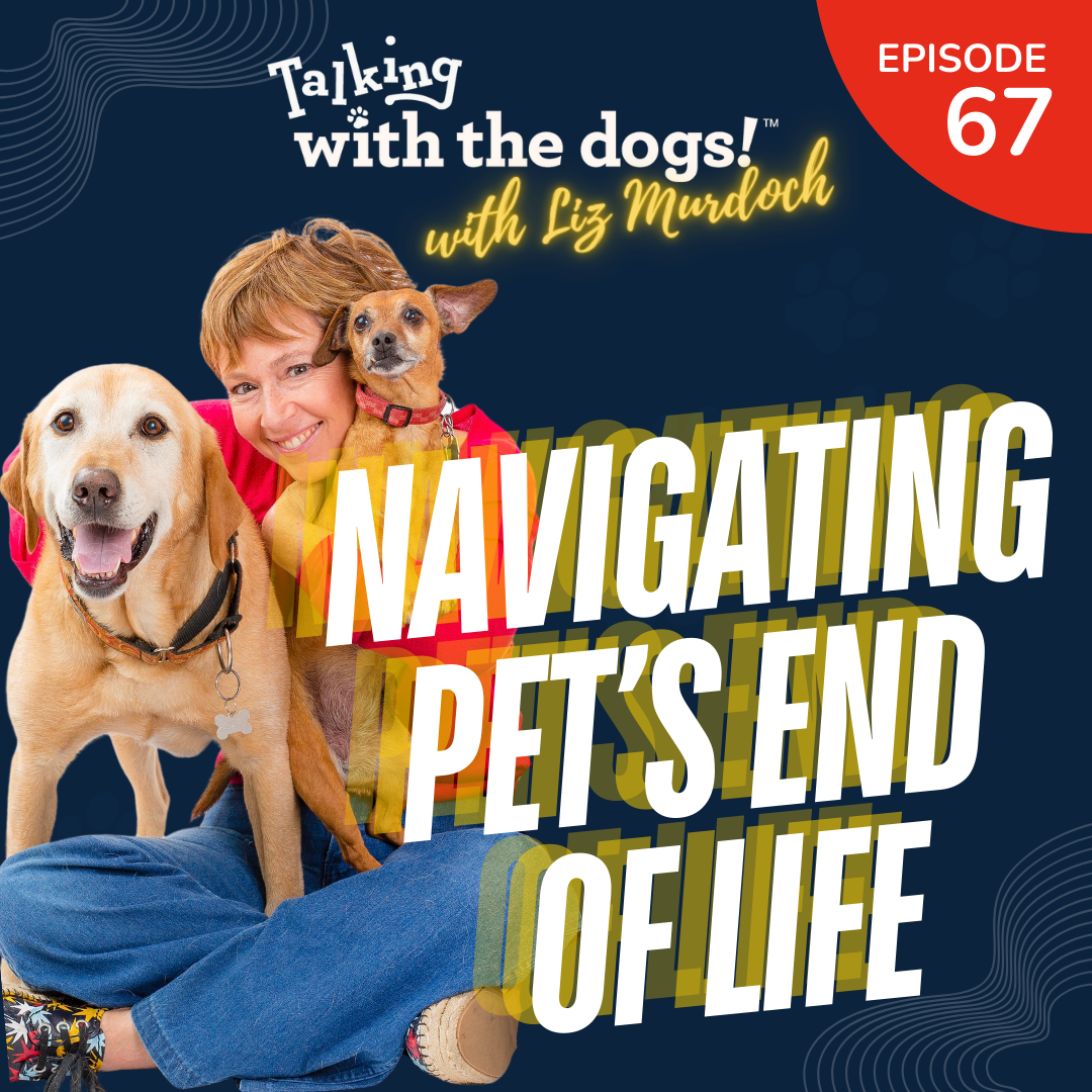 Talking with the dogs!