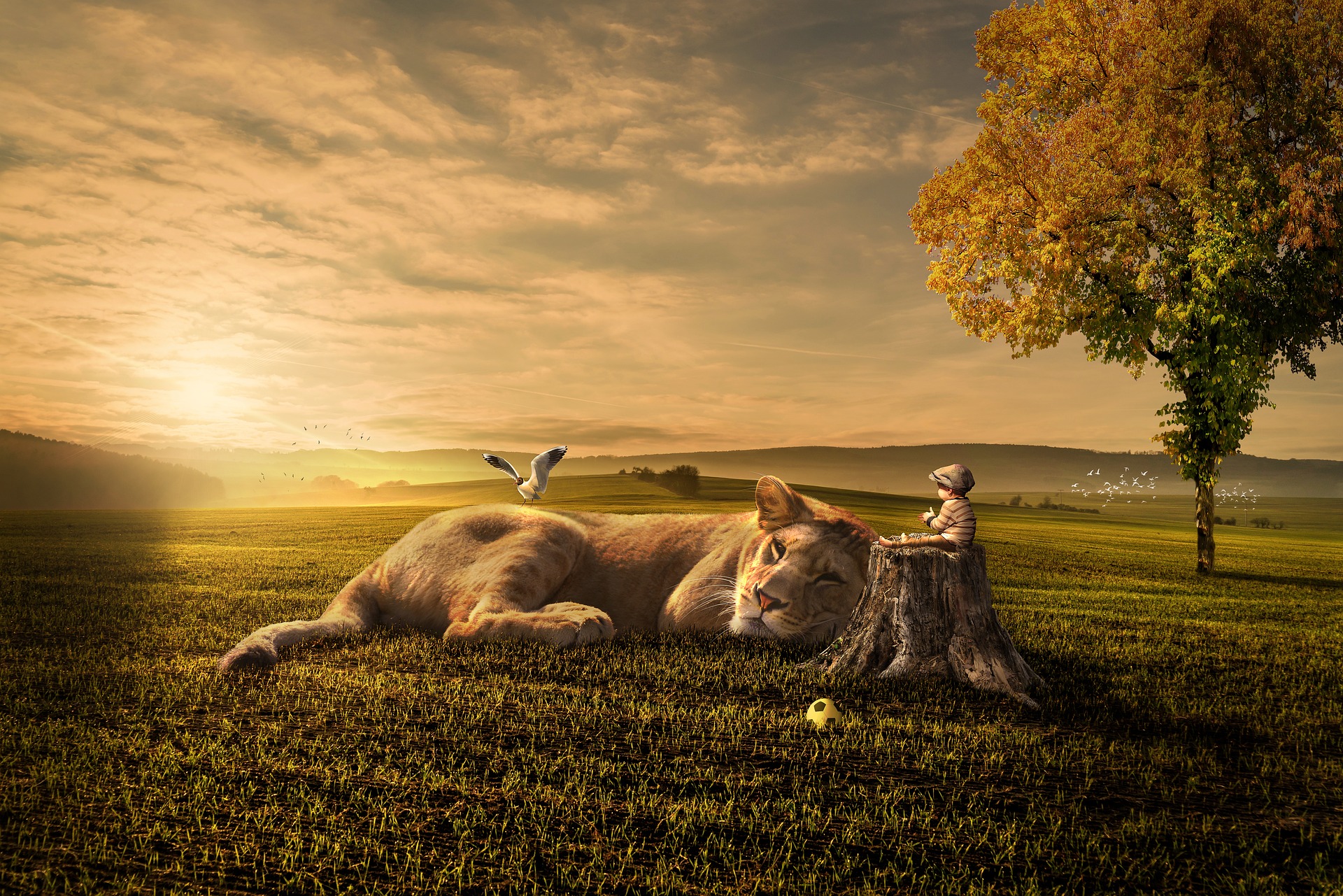 10 Min Morning Meditation For Daily Self Mastery | Weather Any Storm That Arrives