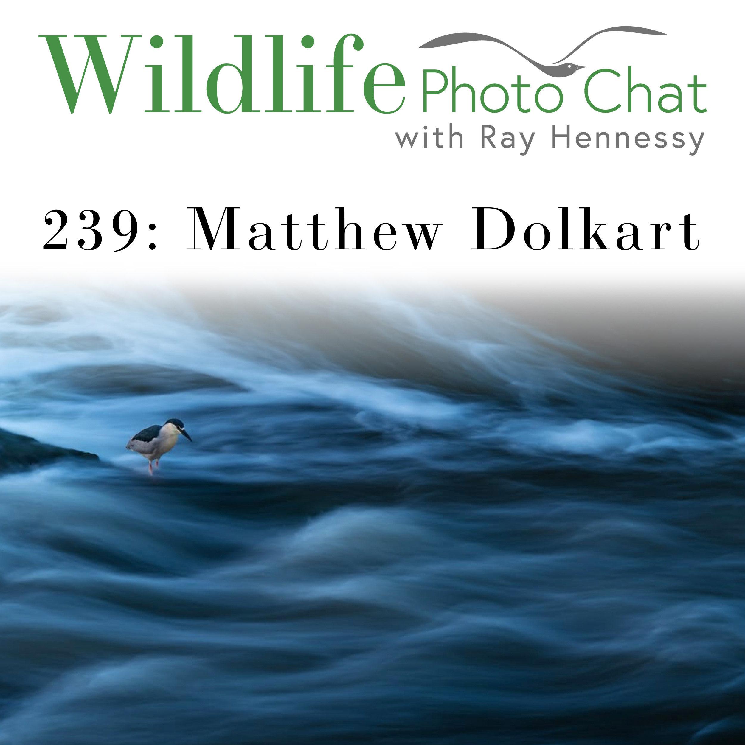 239: Matthew Dolkart
