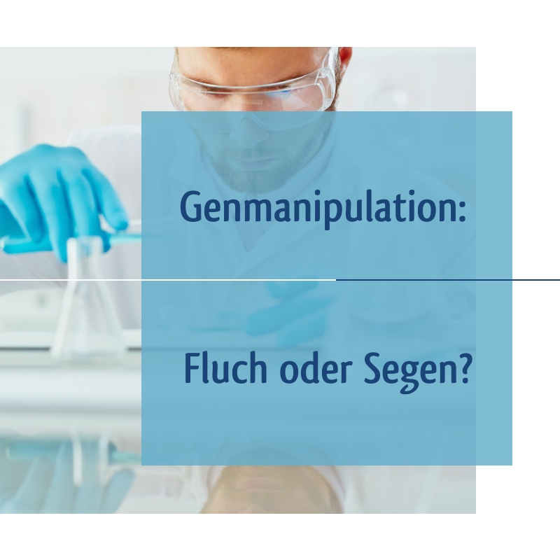 Wunderwelt Körper
